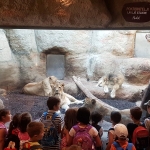 Posjet zoo vrtu (5)