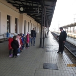 Image (6)