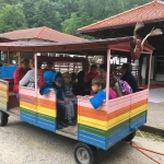 Divlje vode (1)