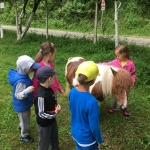 Divlje vode (2)