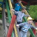 Divlje vode (3)