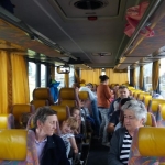 Divlje vode (5)