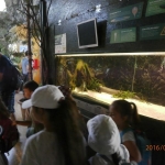 Zoo (2)