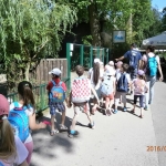 Zoo (6)