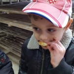 Mlincek (3)
