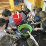 Fotos (5)
