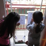 Fotos (6)