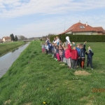 Photo (5)