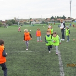 Sportske igre (1)
