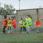 Sportske igre (7)