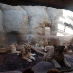 Posjet zoo vrtu (4)