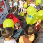 Kc-akt (4)