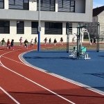 Img 7429